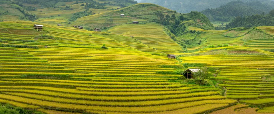 Kho gạo của Châu Văn Khoa